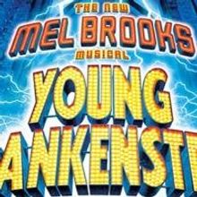 Woodlawn Theater Opens YOUNG FRANKENSTEIN Tonight