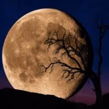 Photography Masters Cup Honors Peter Lik from The United States