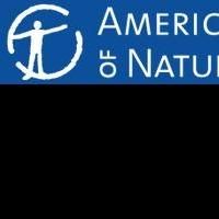 April at the American Museum of Natural History Includes EARLY MORNING SPRING BIRD…