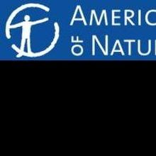 April at the American Museum of Natural History Includes EARLY MORNING SPRING BIRD…