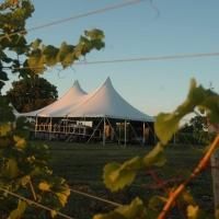 Festival Players of Prince Edward County Announce 2014 Season: RADIO :30, TEST DRIVE…