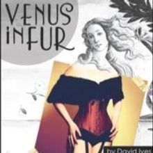 VENUS IN FUR Plays the Circle Theatre, Now thru 3/8