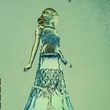 THE GLASS MENAGERIE to Open Everyman Theatre's 2013-14 Season, Begin. 9/6