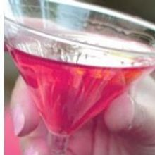 Sip and View IMAGINARY WORLDS With 'Cocktails in the Garden', at the Atlanta Botanica