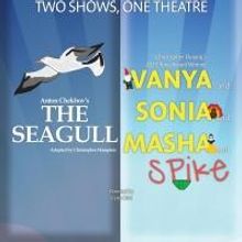 THE SEAGULL Runs Now thru 3/28 at Playhouse on the Square