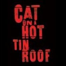 Austin Pendleton Helms Mississippi Mud's CAT ON A HOT TIN ROOF, Now thru 11/17