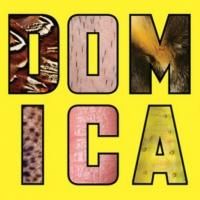DOMESTICATED's Bruce Norris & Anna D. Shapiro Set for LCT's Platform Discussion…