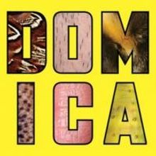 DOMESTICATED's Bruce Norris & Anna D. Shapiro Set for LCT's Platform Discussion Serie