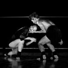 Tickets on Sale Today for Northrop Theatre's 2013-14 Dance Season