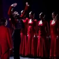 BWW Reviews: Metáfora: Ballet Flamenco de Andalucía at City Center