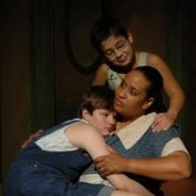 THE MEMBER OF THE WEDDING Not Married to Traditional Interpretation in the Next Stage