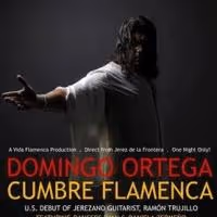 Vida Flamenca Productions Presents Flamenco Dancer Domingo Ortega