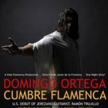 Vida Flamenca Productions Presents Flamenco Dancer Domingo Ortega