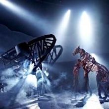 WAR HORSE Makes South African Premiere Tonight