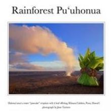 Rainforest Pu'uhonua Now Available on iBooks and Kindle
