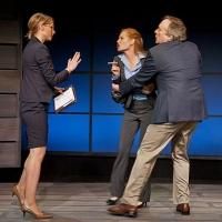 BWW Reviews: Marg Helgenberger in THE OTHER PLACE at Barrington Stage Co. in the Berkshires