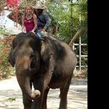 Polio Survivor Chronicles Journey in Poetry Collection