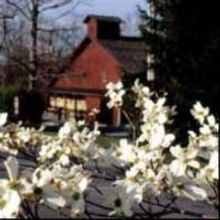 Bobby Taylor to Teach Songwriting at Cumberland County Playhouse, Beg. 2/15