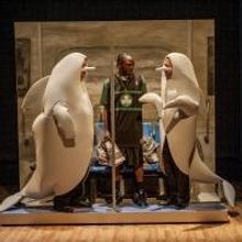 City Theatre's SHORTS GONE WILD Comes to Broward, 8/8-9/1