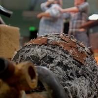 Green Zoo Theatre to Present A NIGHT AT THE ZOO: AN EVENING OF ONE ACTS, Begin. 9/5