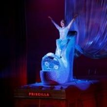 PRISCILLA QUEEN OF THE DESERT Coming to the Adrienne Arsht Center, 4/2-7