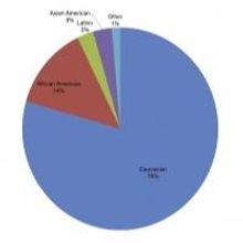 AAPAC's Diversity Report for 2011-12 Season Says Broadway Hires Better Percentage of…