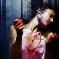 WildWorks World Premiere at Norfolk & Norwich Festival 2015