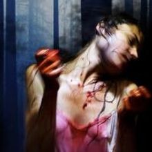 WildWorks World Premiere at Norfolk & Norwich Festival 2015