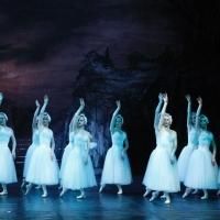 Cape Town City Ballet Gearing for a Sell-out SWAN LAKE Season