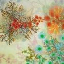 Paintings by Annette Davidek on View at Littlejohn Contemporary, Now thru 3/2