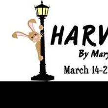 Full Cast of Bay City Players' HARVEY Announced; Show Runs 3/14-23