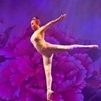 Golden Dragon Acrobats & More Set for Morrison Center's 2014 Family Theatre Series