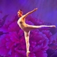  Golden Dragon Acrobats & More Set for Morrison Center's 2014 Family Theatre Series