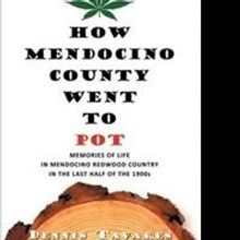 Dennis Tavares' Book Chronicles Environmental Malpractice