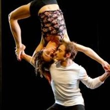 BWW Preview: Les 7 Doigts de la Main Brings Emotional Acrobatics to VPAC