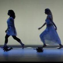 BWW Student Center's School in the Spotlight: Brandeis University