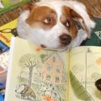 Westport Country Playhouse Partners with Westport Library's READING TO ROVER, 3/1