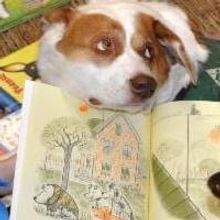 Westport Country Playhouse Partners with Westport Library's READING TO ROVER, 3/1