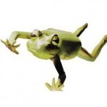 FROGZ Sets $5 Dress Rehearsals - Oct 29 and 30