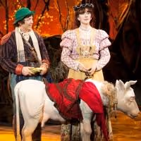 BWW Reviews: Wishes Come True in 3-D Theatricals' INTO THE WOODS