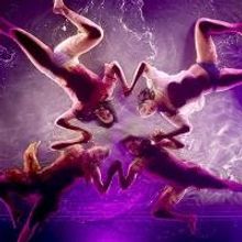 BWW Reviews: Interactive and Sensorial Fuerza Bruta Arrives in Sao Paulo With the Sh