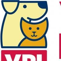 Most Unusual Pet Insurance Claim of the Year Revealed
