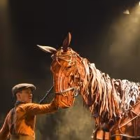 BWW Reviews: Brilliant WAR HORSE Returns to Los Angeles at the Pantages for One Week…