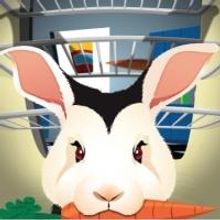 Columbus Children's Theatre to Present BUNNICULA, 10/17-27
