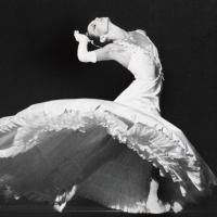 BWW Interviews: Stephanie Saland