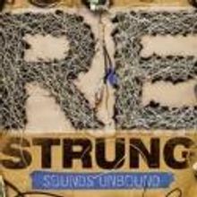 Eclectic-Made Instruments Headline ReSTRUNG: SOUNDS UNBOUND, Now thru Oct 28