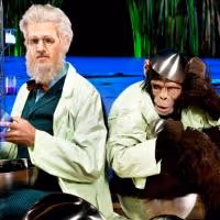 BWW Reviews: Cirque du Soleil's TOTEM Tent Rises in Irvine's Great Park
