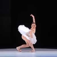The Houston Ballet Presents JUBILEE OF DANCE Tonight
