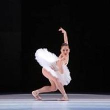 The Houston Ballet Presents JUBILEE OF DANCE Tonight