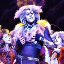 BWW Review: Legendary Broadway Musical CATS Enchants Audiences at the Norris Theatre